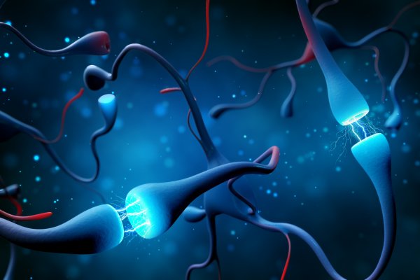 Nobelprijs voor optogenetica: licht onthult hoe hersenen ons eetgedrag sturen