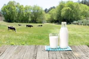 Magere zuivel mogelijk gunstig voor prognose na darmkanker