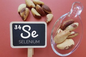 Selenium en hantavirus