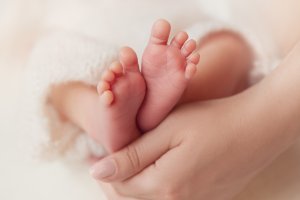 Carnitine transporter deficintie wordt doelziekte in hielprikscreening