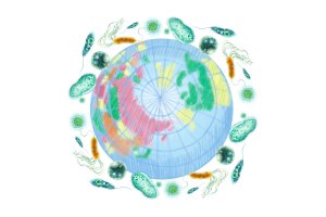 Holomicrobioom-initiatief wil microbiomen verbinden voor gezonder voedselsysteem