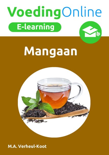 E-learning Mangaan